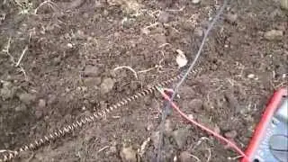ЭЛЕКТРОГРЯДКА В ПАРНИКЕ