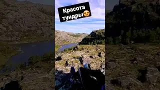 красота тундры😍 