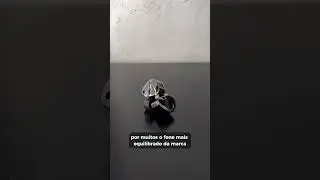 O Fone mais equilibrado está na BlacKZ - KZ D-Fi