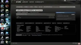 Steam Valve Cyber Café Program Cracked