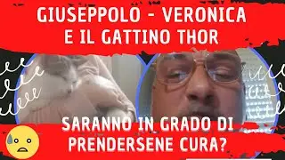 GIUSEPPOLO TROP - VERONICA E IL GATTINO THOR 👈🔴SARANNO IN GRADO DI PRENDERSENE CURA?🥺