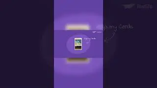Забавный факт - sega my cards