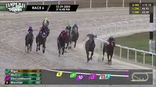 Tampa Bay Downs Carrera 6 - 29 de Diciembre 2024