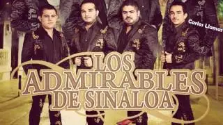 Admirables De Sinaloa-El Tetris(2014)