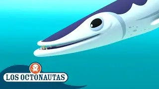 Los Octonautas - Las barracudas | Episodios Completos