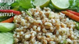 5 makanan ter ANEH di dunia😱!!! Jijik kali aku ||smartpedia
