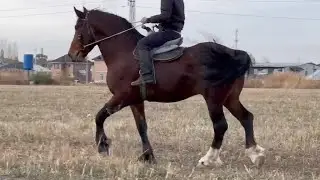 улагына ЖООП ЭКИ АТ