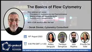 The Basics of Flow Cytometry | #webinar #science #flowcytometry