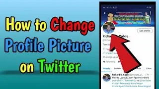 How to Change Profile Picture on Twitter using iPhone 2022