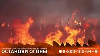 Видеоролик Останови огонь!