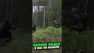 ВСТРЕЧА с МЕДМЕДЕМ в лесу... уже на канале 