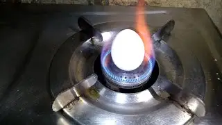 Egg Vs fire 🔥  funny experiment ( egg Vs fire )