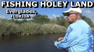FISHING EVERGLADES 