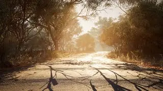 Rural Avustralia Unreal Engine 5 cinematic render (Lumen Real-Time Lighting)