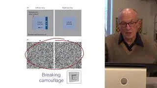 Random Dot Stereograms and the Correspondence Problem - Visual Perception and the Brain