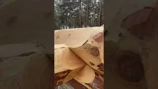 Бриллиантовый замок в срубе.