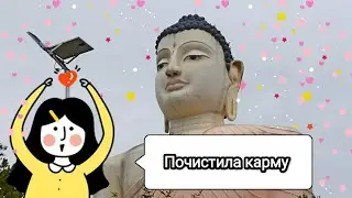 Как я чистила карму перед новым годом! #srilanka #шриланка #буддизм