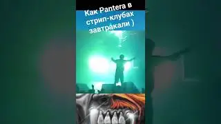 Завтраки в стрип-клубах: будни Pantera