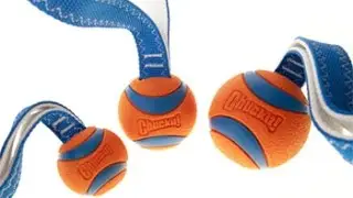 Chuckit! Ultra Tug a kutyamania.hu-n