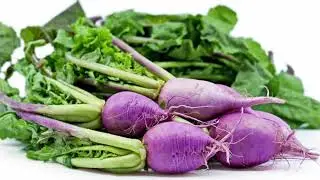 Farmers' Market Box February 20th 2020