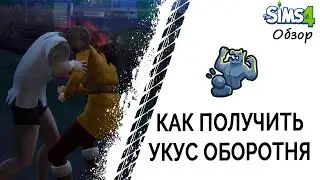 Как получить укус оборотня в Симс 4