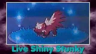 [Phase 2][Live] Shiny Stunky / Moufouette after 7418 RE!