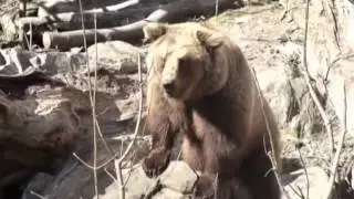 Улетное видео 347 выпуск