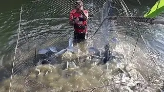 COMO FAZER ARMADILHA PARA PEIXES GRANDES
