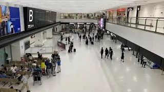 Live | Narita International Airport | Japan Arrival