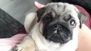 Мичман едет домой. 2.5 месяца