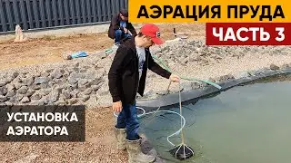 Аэрация пруда. Часть 3. Установка аэратора в пруд