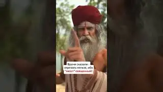 БОГ ОБЕЗЬЯН