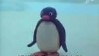 Pingu het Fun