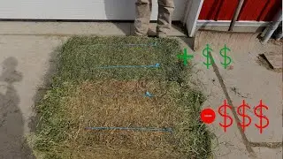 This Thumbnail Shows How Hay Farms Go Broke