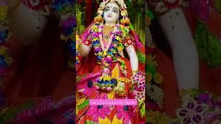 Krishna Janmashtami Special Darshan Sri Radha Madhav Iskon Mayapur🙏🪷#IskonMayapur#Janmashtami#sorts
