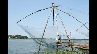 fishing spider fish lift full