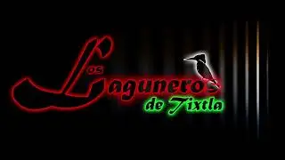 LOS LAGUNEROS DE TIXTLA (POP. CUMBIEROS) VOL. 6