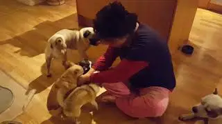 20171025 High five Booom