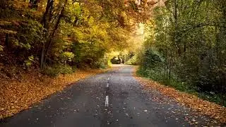No Copyright Free , Nature Videos Copyright Free Download, Copyright Free Background, 4k Free Stock