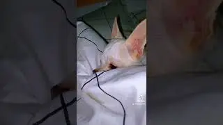 Доброго ранку