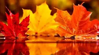 Сентябрь 2020. Каким будет? По всем сферам. Позитив🍁