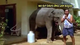 Rajendra Prasad Super Hit Comedy Movie Brahmandma Elephant Milk Comedy Scene | Shalimar Movies