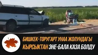 Бишкек-Торугарт унаа жолундагы кырсыктан эне-бала каза болду