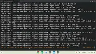 Cómo instalar Wine 8 en Debian 11