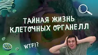ЦИТОЛОГИЯ ДЛЯ ЕГЭ 2025 | БиоУм