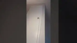Ebony Sexy Outfit Twerk 🤸🏽‍♀️