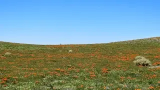 3кауцй