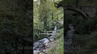 У твоей мечты есть только ТЫ 😉 #неангеловскаялирика #стихи