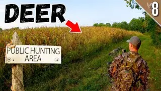 DEER HUNTING Public land in Missouri - (Our Gear got STOLEN!! 😡)