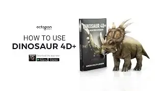 How To Use Dinosaur 4D+ Augmented Reality Flashcards | Octagon Studio